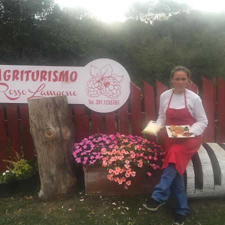 Cerreto Laziale Agriturismo Rosso Lampone المظهر الخارجي الصورة