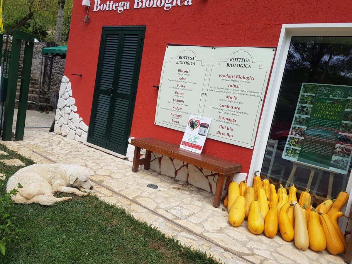 Cerreto Laziale Agriturismo Rosso Lampone المظهر الخارجي الصورة