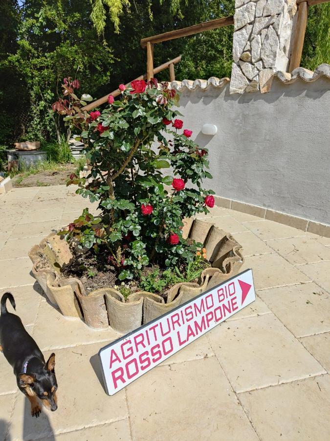 Cerreto Laziale Agriturismo Rosso Lampone المظهر الخارجي الصورة